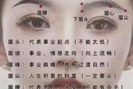 为什么算命的人说不能碰眉毛代表什么含义