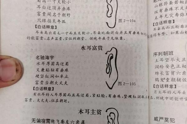 从面相看耳朵，耳朵面相算命图解