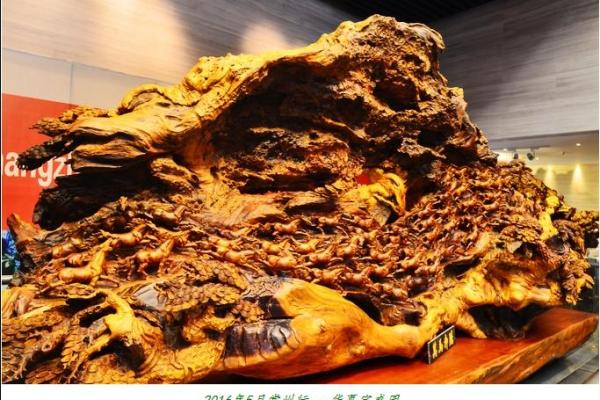 常州东青算命的在哪里 常州东青算命的在哪里