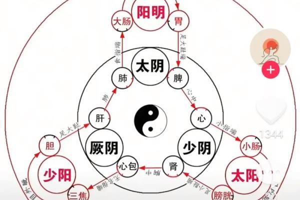 八字中缺土代表什么,八字五行缺土会怎么样