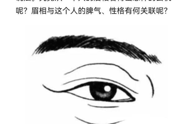 面相八字学：如何看懂一个人的性格与命运？