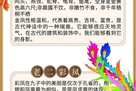算命说龙凤呈祥什么意思啊