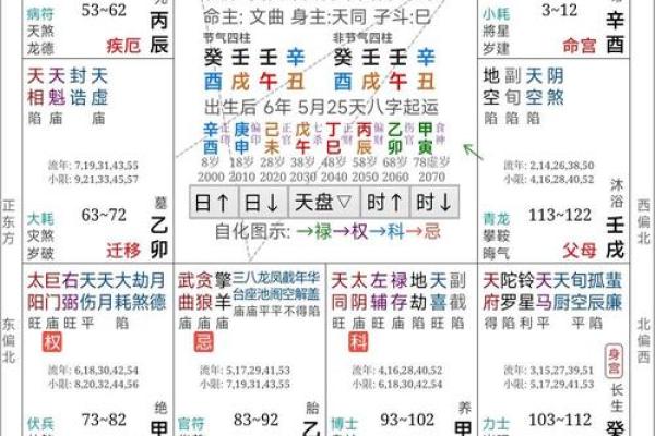 八字算命排盘软件咋开发