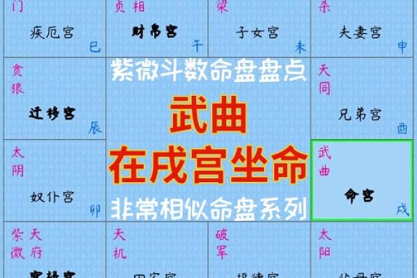 紫薇斗数文曲在申