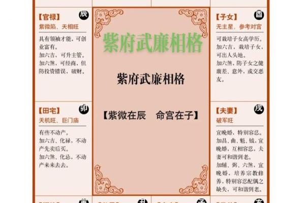 紫薇斗数子斗亥