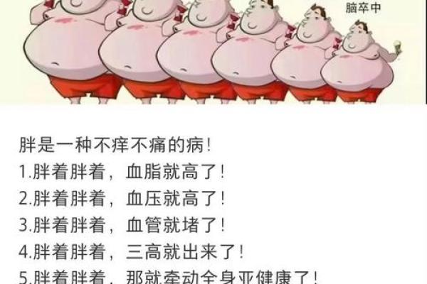 四柱预测：你会变成胖子吗？会发胖的八字有什么特点？