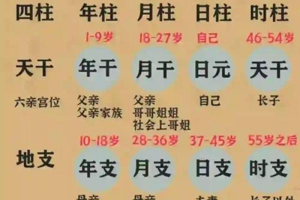 四柱八字知识