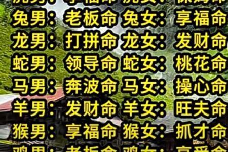 八字旺是什么意思