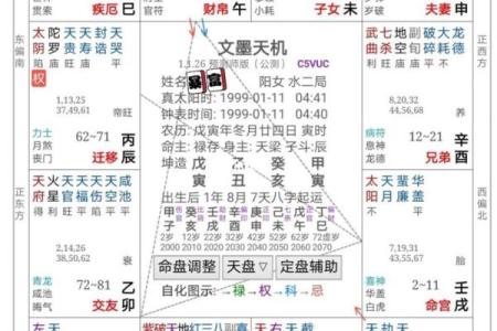 紫微斗数诸星落命宫之：天机星详解