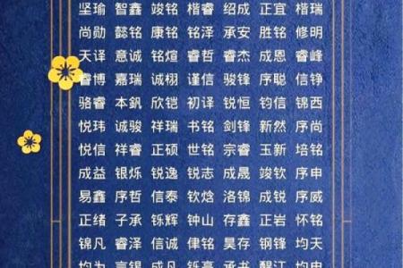 八字喜金水的男孩名字