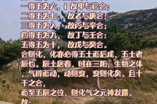 八字十天干的特点要义(上) 八字十天干的特点要义(上)