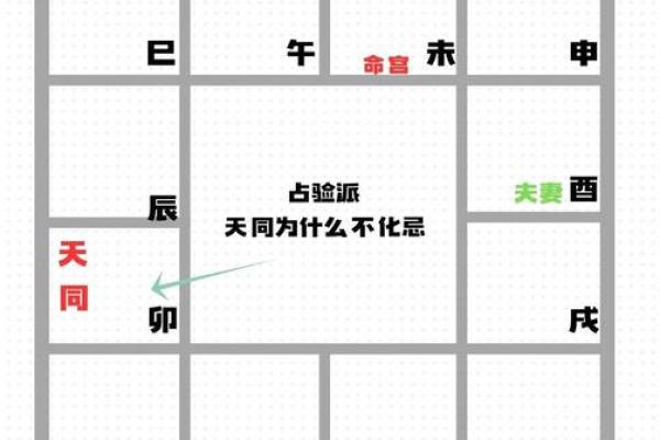 天同星在命盘中的作用