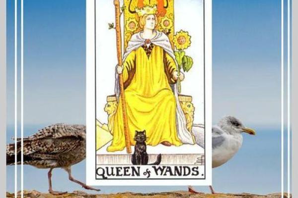 塔罗牌测试中考成绩免费，塔罗牌测试期中考试成绩？