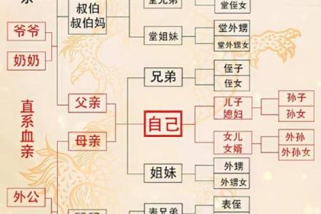 八字如何解读家族家庭关系？