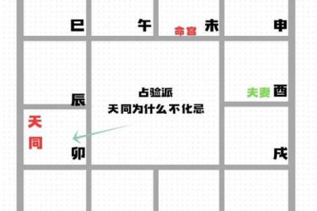 天同星在命盘中的作用