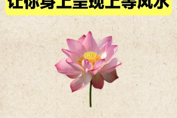 要看风水的情况！你可要注意了