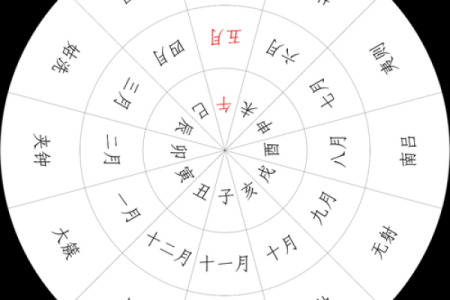 芒种前出生好还是芒种后 2024年芒种出生人的八字