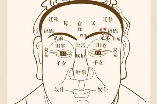 八字眉女人是穷相吗?财运如何 八字眉女人是穷相吗?财运如何