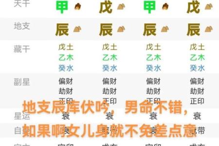 龙的生辰八字