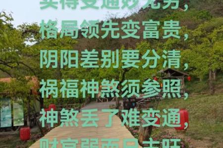 怎样调运气风水金口诀