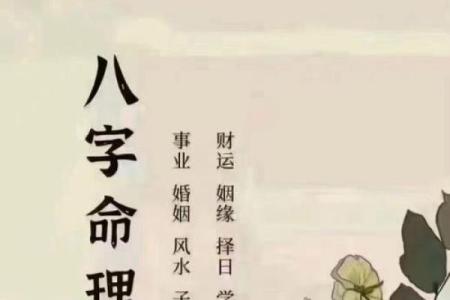 女命八字好