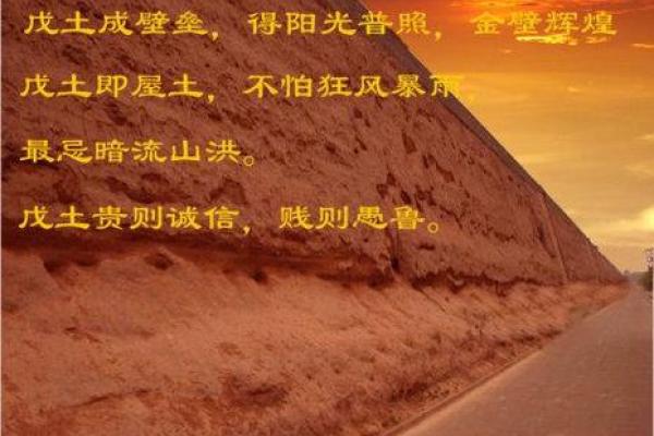 八字喜用神第2讲文江勇