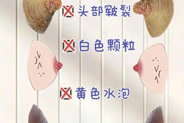 如何八字奶 如何八字奶