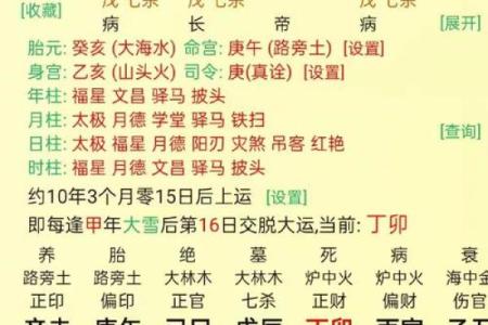 陈雅琴八字资料及命运分析