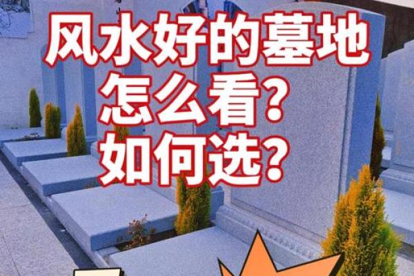 墓地风水的禁忌有哪些