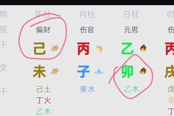 八字夫妻宫被合