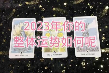 塔罗测试：五月你的运势会往什么方向发展？