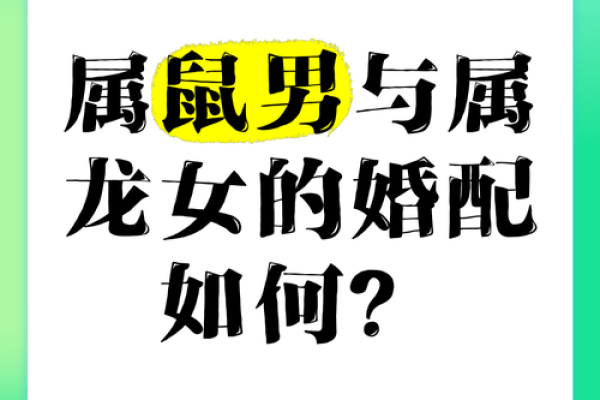 八字配对属龙男与属猪女合得来吗 结婚会怎样 八字配对属龙男与属猪女合得来吗 结婚会怎样