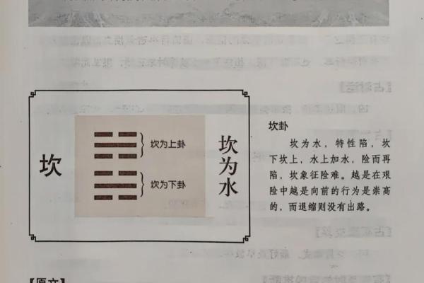 风水水冲攻略：如何发挥其更大作用