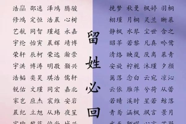 高分取名-2024年元旦节出生的宝宝八字起名字 高分取名-2024年元旦节出生的宝宝八字起名字