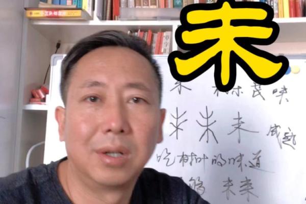 兴易八字教学 兴易八字教学
