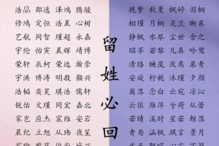高分取名-2024年元旦节出生的宝宝八字起名字