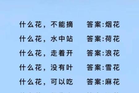 5岁儿童智力测试题30道