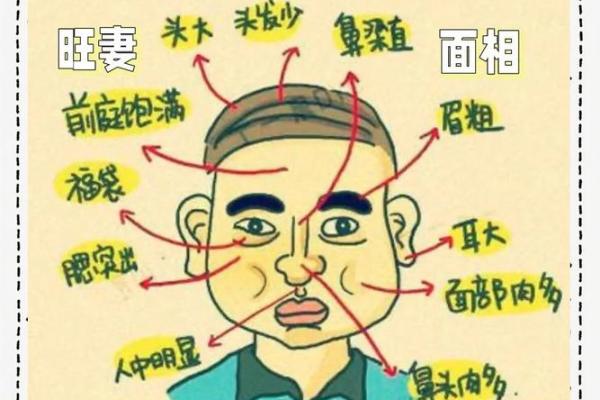 男人克妻的八字 男人克妻的八字
