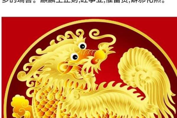 12生肖谁适合佩戴麒麟有哪些风水观点