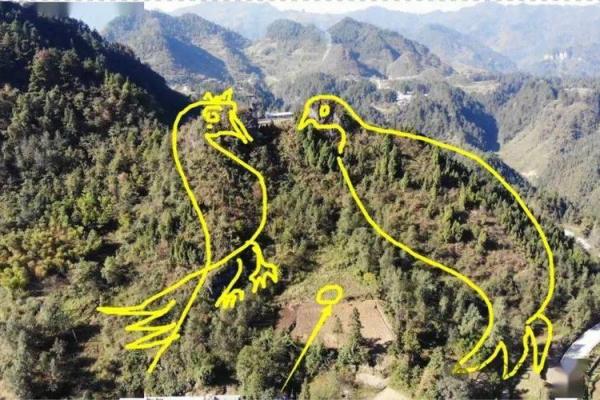 坟墓风水_坟墓父登子肩的说法