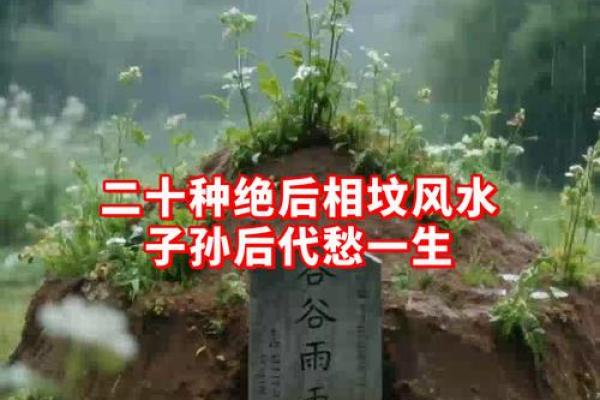 风水鬼故事之坟头怪树