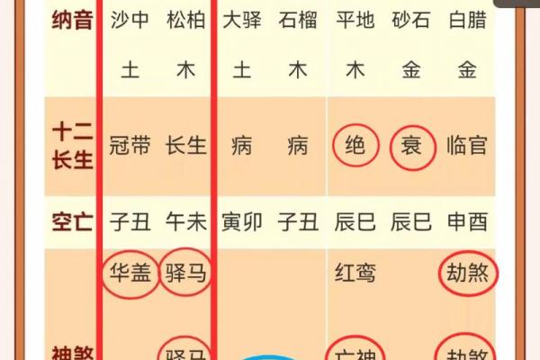 八字巳巳亥 八字巳巳亥