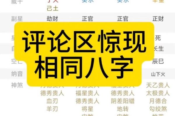 相同八字 相同八字