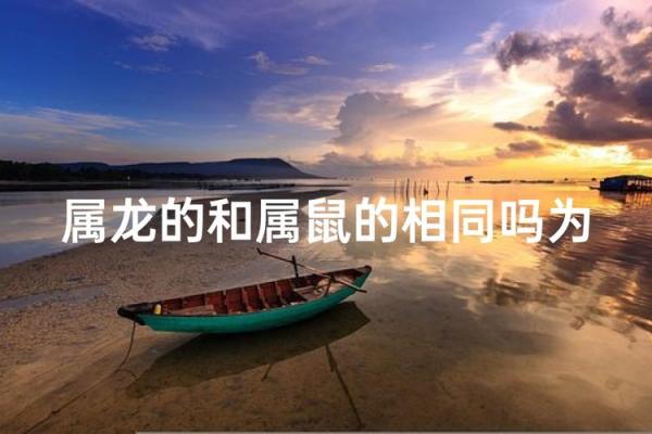 属龙和属鼠的八字合吗 属龙和属鼠的八字合吗