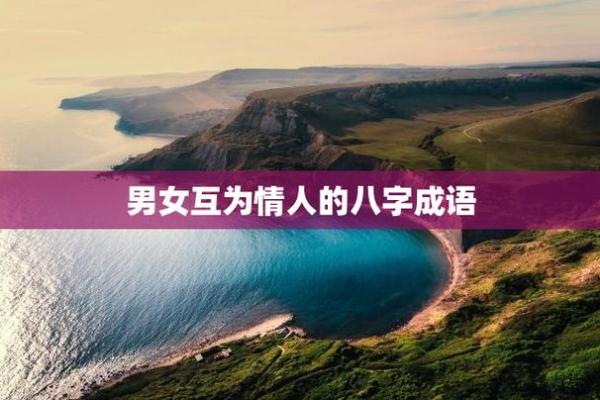 八字成语爱情