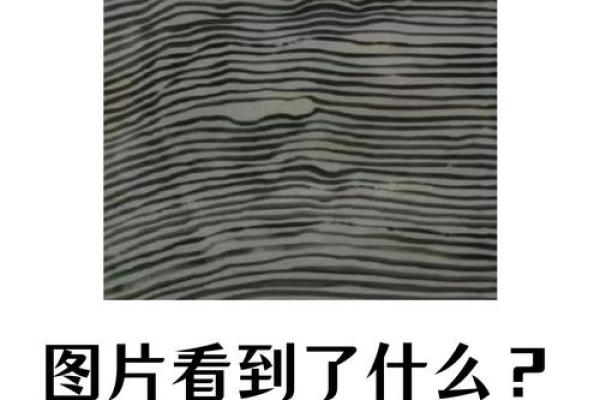 神准测试--什么样的男人能给你真正的幸福？