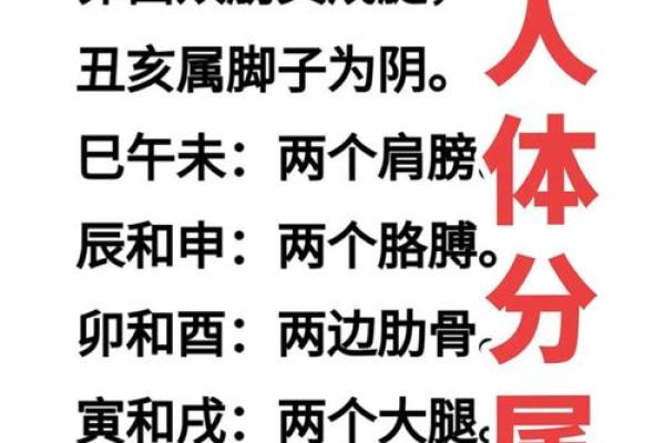 八字层次差人的命运 八字层次差人的命运