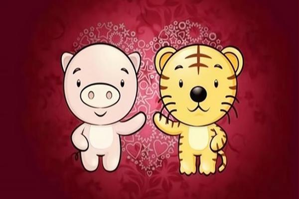 95猪男和98年虎女八字合不合 95猪男和98年虎女八字合不合一身财运