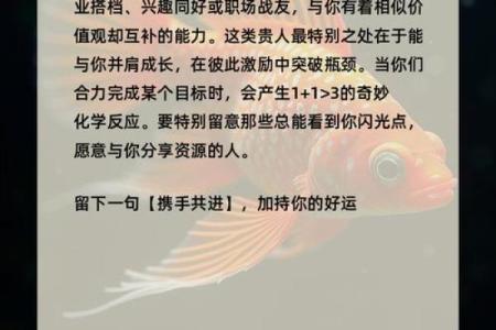 塔罗测试-你的命定良缘 你命定的那个人是谁