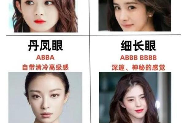 双雀纹与八字纹的区别是什么